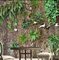 12 inches x 24 inches Preserved Oak tree trunk Panels