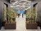 5 Foot ARTIFICIAL CORN STALK WITH LEAVES