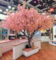 Giant Custom Artificial  Trees — breathtaking replicas of nature’s most iconic giants