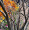 Giant Custom Artificial  Trees — breathtaking replicas of nature’s most iconic giants