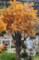 Giant Custom Artificial  Trees — breathtaking replicas of nature’s most iconic giants