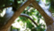 Giant Custom Artificial  Trees — breathtaking replicas of nature’s most iconic giants