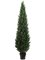 84 inches Outdoor Cedar/Cypress Topiary in Plastic Pot  Green