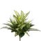 19 inches Aglaonema/Fern/Grass Mixed Bush x7 Green Variegated