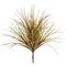26 inches Outdoor Onion Grass  - Beige/Light Green/Burgundy mix- 23 inches Width - Bare Stem