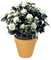 28 inches Outdoor Polyblend Gardenia Bush - 257 Leaves - 17 Flowers - 11 Buds - White