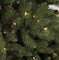 7.5 feet & 9 feet Alaskan Fir Christmas Tree with lights