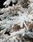 Pre Lit 9' Flocked Snow Pine Christmas Tree