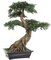 Life Like Silk 30 inches Chinese Elm Bonsai - Synthetic Trunk - 24 inches Width - Black Decorative Pot