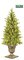 C-30240  4' TO 6' Ashland Spruce Entrance Tree Green with lights/urn as shown