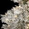 EF-91054 9 feet Heavy Flocked Snow Tree - Full - 1,834 Tips - 630 Warm White 5mm LED Lights