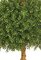4' Plastic Double Boxwood Ball Topiary - Natural Trunk - 16" and 20" Diameters