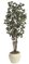 P-2125 4.5' Polycaise Tree - Synthetic Trunk - 1,600 Leaves - Dark Green - Weighted Base