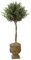 4.5' Artificial Olive Ball Topiary - Natural Trunks - 1,536 Leaves - Green - Weighted Base