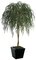 6' Willow Tree - Natural Trunk - 1,470 Green Leaves - 40" Width - Weighted Base