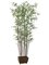 EF-728 	6 feet Bamboo Wall Tree x19 w/1276 Lvs. in Wood Container Shown Green (Sold in A 2 PC Set)