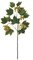 Norway Maple Branch - 12 Green Leaves - 4 Sets of Mustard Flowers