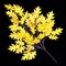 29" Pin Oak Branch - 54 Leaves - Gold