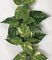 9 feet Pothos Garland - 116 Green/White Leaves - 8 inches Width - FIRE RETARDANT