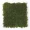 Earthflora's 20 Inch X 3.5 Inch Long Leaf Thick New Leaf Outdoor and Fire Rated Japanese Boxwood ...