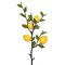 20" Lemon Branch -  Lemons - Green/Yellow