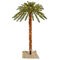 6 feet Outdoor Palm Tree DuraLit 300CL 67T