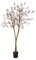 7 Foot Flowering Magnolia Trees on Natural Trunk Pink, Rose, Light Pink
