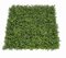 20 Inch x 20 Inch x 2.5 Inch Outdoor Fire Rated/UV Boxwood/Moss Wall Mat