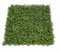 20 Inch x 20 Inch x 2.5 Inch Outdoor Fire Rated/UV Moss Wall Mat