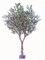 10 Foot Olive tree Fire Retardent 60 inches Wide