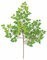32" Birch Branch - 173 Leaves - Green
