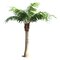 12' OUTDOOR STRAIGHT COCONUT PALM TREE
