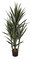 50" Plastic Yucca Plant - Fiberglass Trunks - 5 Heads - 100 Leaves - Green