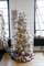 4 feet Flocked Butte Pine Christmas Tree with Pine Cones - Slim Size - Clear Lights