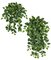 Firesafe Variegated Pothos Bush In 36 Inch Or 50 Inch Sizes