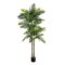 8 Foot Outdoor UV  Artificial Double Robellini Palm Tree (Indoor/Outdoor)