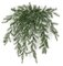20 inches Polyblend Outdoor Plastic Spengerii Bush - 14 inches Width - Green