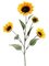 25 inches Small Sunflower Spray x4  Yellow
