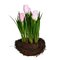 9 inches Pink Tulips in Bird Nest 2/Pk