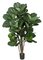 68 Inch Fiddle Leaf Tree - Regular Or Ifr