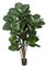 68 Inch Fiddle Leaf Tree - Regular Or Fire Retardant
