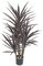 53 inches Plastic Yucca Tree -  5 Burgundy Heads - 36 inches Width - Weighted Base - Outdoor UV Protection