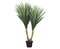 43" Tropical Yucca Plant in Pot Green