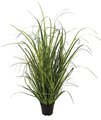 Fire Retardant  Wild Green Onion Grass In Pot | 32 Inch Or 52 Inch Sizes