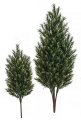 POLYBLEND OUTDOOR PODOCARPUS BUSH | 39 inches OR 58 inches SIZES