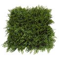 20 Inch X 20 Inch Polyblend Button Fern Mat | Green Or Light Green