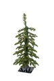 Natural Touch Plastic Celina Fir Trees with Battery Operated LED Rice Lights | 2 Ft. or 3 Ft. Tal...