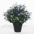 19" Potted UV Baby's Breath Bush | 2 Colors
