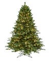 Instant Shape Full Virginia Pine Trees with Twinkle LED Lights