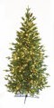 Woodland Mixed Pine Trees | 5' to 12' Sizes